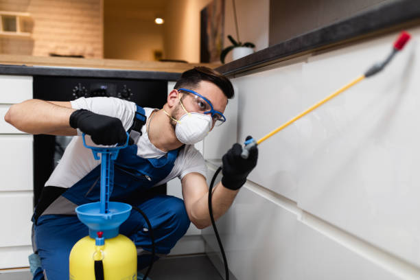 Best Affordable Pest Control Services  in Fairview, GA