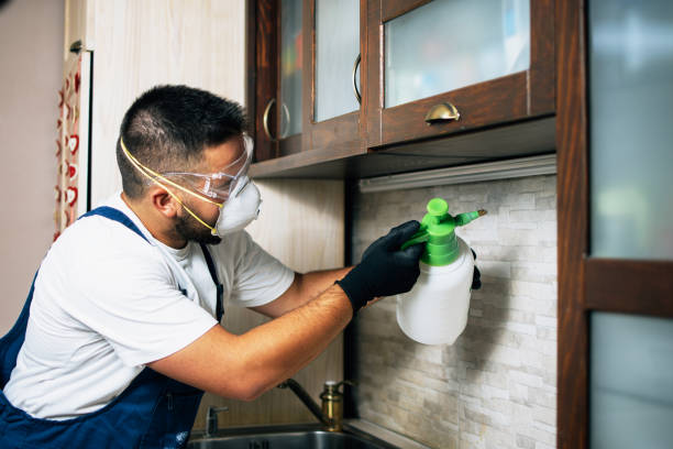 Best Residential Pest Control  in Fairview, GA