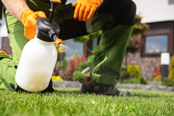 Best Emergency Pest Control  in Fairview, GA