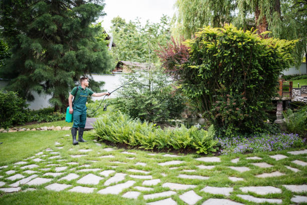 Best Pest Control Treatment  in Fairview, GA