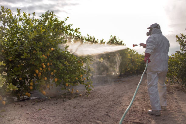 Best Pest Removal Services  in Fairview, GA