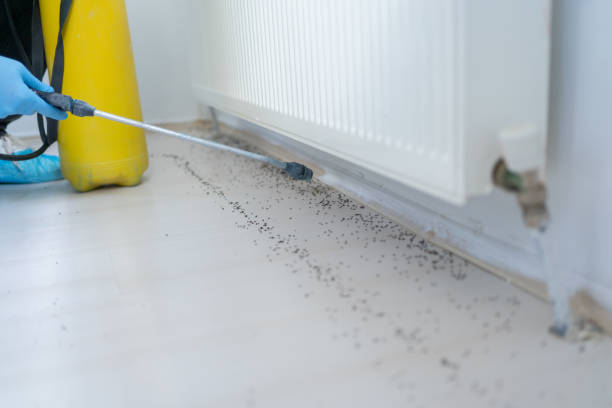 Best Pest Control Near Me  in Fairview, GA