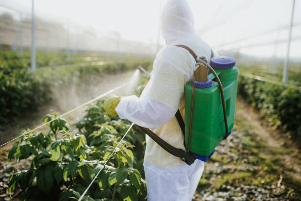 Best Exterminator Services  in Fairview, GA